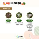 과일나라테마공원1 이미지