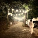 스테이 사계 이미지