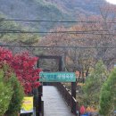 정기봉 | [대전]상소동 산림욕장 단풍 명소 실시간 돌탑 주차 입장료 애견동반