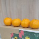 부흥초등학교+중앙유치원 이미지