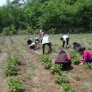 석구농장 이미지