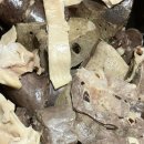 달떡볶이 답십리점 이미지