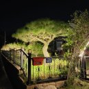 경산아지매 이미지