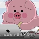 요미네일 - 김천시 | 요미네일