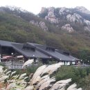 오색상사