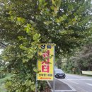 초평단골집좌대 네이버블로그