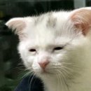 어느멋진날에 2 | 10월의 어느 멋진 날에~