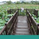 연꽃향기천연염색 이미지