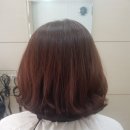 르미헤어 이미지