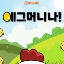 오렌지팟 이미지