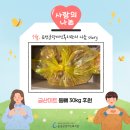 금산미트