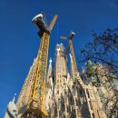 거목가든 | 스페인여행 핵심 사그라다파밀리아 성당 가우디의 선물 완공은 언제?