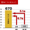 현산축산 | "가고시마 흑돼지란" かごしま黒豚とは