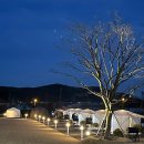 신송로 | 서울 근교 크리스마스 데이트 코스 카페 세컨드세컨드•베어트리파크