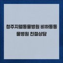청주지웰동물병원 | 청주지웰동물병원 비하동동물병원 친절상담