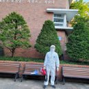 서울금성초등학교 이미지