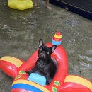 니멍내멍 이미지