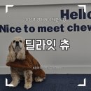 딜라잇츄 - 수성구 들안로14길 21 | 대구 수성구 강아지수제간식 전문점 " 딜라잇츄 " 에 방문했어요.