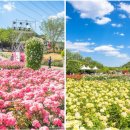 큐피드 푸드트럭 이미지