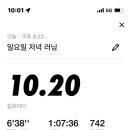 샤브파티야 이미지