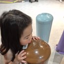 용인시박물관 | [경기도/용인]용인 어린이박물관 후기 | 아이들과 함께한 주말 나들이