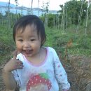 창지농장 이미지