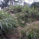 팔조리 | 대구경북 독립운동사 2 임진왜란 때 일본군의 대구 침입로