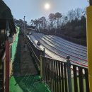 사계절 | 남양주 사계절 썰매장 후기 입장료 식당 외부음식 매점