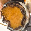 호텔e패션 | 목포 평화광장 맛집 고메스퀘어 | 나주에서 1시간 달려온 호텔뷔페급 퀄리티