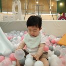 세명프라자 | [주말 아기랑 실내데이트]베이비카페 배곧 아이코야 방문후기