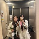 일본 도쿄 3박4일 여행 기록/ 3일차 도쿄 디즈니랜드 신주쿠 여행 / 야끼니꾸 돈돈 가부기초점 스티커...