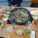 진품우리집오리 이미지