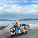삼동면 전도3 | 남해 놀거리 필수코스 추천 | 보물섬전동바이크투어 (ft. 해안도로 감성 라이딩)