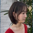 헤어바이지윤 | 반송동미용실 지윤팀장님과 함께 만드는 특별한 헤어 스타일