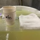 은주네손칼국수 | 임신일기 18-21주차 중기 먹부림, 미세결실 검사 결과 전화 진료, 임산부 세신 비단 스파, 출산전 육아...