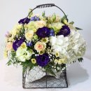 미래산후조리원(신미래->미래) 이미지