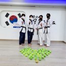 용인대송무태권도 이미지