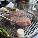 알로에테마파크 | 2025 여름 나날zip.4 제주여행 3일차 | 도돈, 바이닐 제주, 보롬사진관, 981파크