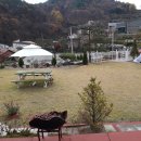 수안보면사무소 이미지