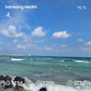 세화잠수촌 | 제주 세화 해변 러닝코스 (올레 21길도 달렸지만 이건 러닝코스가 아니었다 , 세화해변 출발, 7km, 8km)