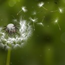 (주)좋은친구들 이미지