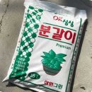 삼원몰 이미지