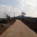 일과리 지석묘 이미지