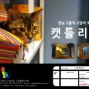 캣틀리에 이미지