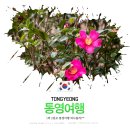 앤화이트펜션.비치