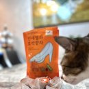 푸딜라이트 이미지