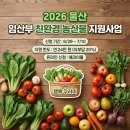 한글사이트지원센터 | 2026년 울산 중구 임산부 친환경 농산물 지원사업 신청 기간 방법 총정리 (에코이몰)