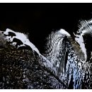 물속풍경 이미지