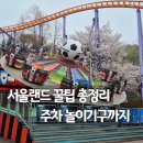 멍더랜드 | 서울랜드 꿀팁 주차 식당 놀이기구까지 아이랑 후기