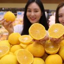 현대커뮤니티 이미지